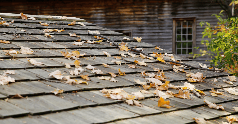 Is Your Roof Ready for Fall? 5 Warning Signs to Catch Before the Leaves Drop