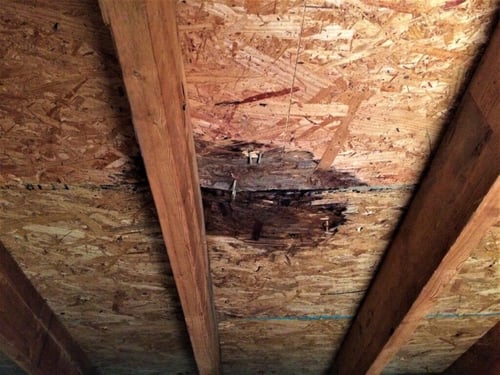 Water-damaged attic ceiling with visible wood rot and stains, showing signs of an active roof leak.