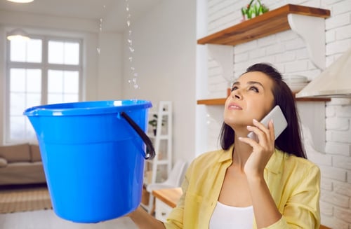 What To Do If Your Roof Leaks