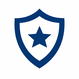 Minimal Navy Shield Star Emblem