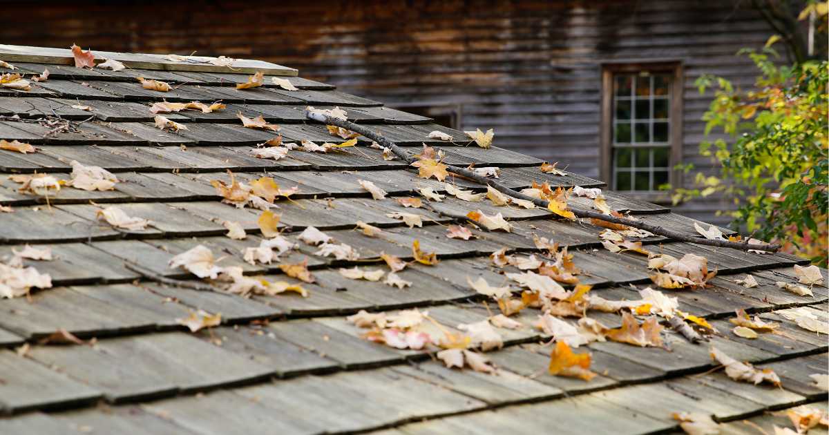 Is Your Roof Ready for Fall? 5 Warning Signs to Catch Before the Leaves Drop