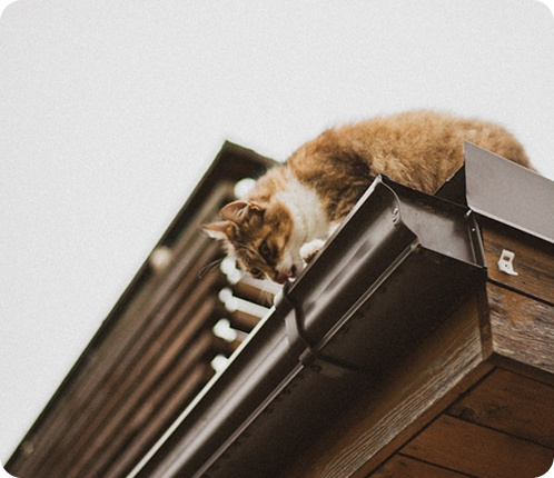 OUR GUTTER INSTALLATION SERVICES IN MINNESOTA AND WISCONSIN OUR GUTTER INSTALLATION SERVICES IN MINNESOTA AND WISCONSIN